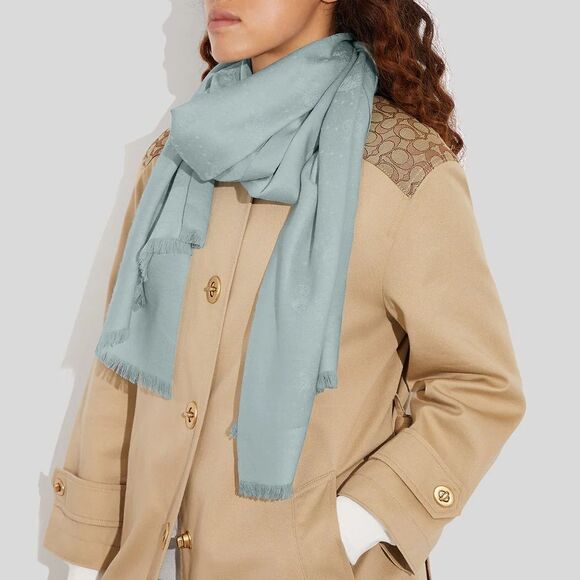 Coach Accessories - NWT Coach Horse And‎ Carriage Dot Print Wrap